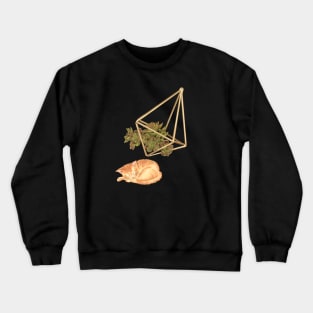 Geometric Succulent Planter and Cat Crewneck Sweatshirt